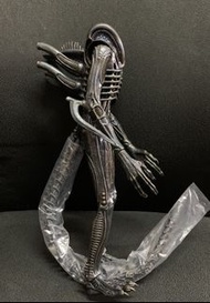 全新 hottoys aliens mms354 body