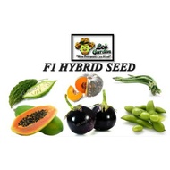 Syaz_Shop Special More Biji Benih Seed-Kacang panjang Renek/Betik/Edamame/Terung Bulat/Labu Manis/Peria Katak/Papaya