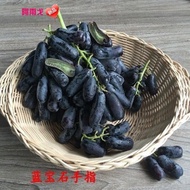 Grafting Grape Seedlings Seedless Grape Seedlings Grapes Seedless Grape Seedlings Balcony Garden Pot