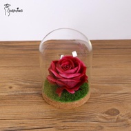 [ Glass Cloche Dome Jar Dollhouse Terrarium with S