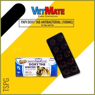¤ ✎ ☪ Papi Doxy Tab Antibacterial for Dogs and Cats 100mg per 10 pcs