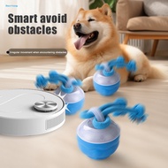 Moving Ball Dog Toy with Timer Electric Dog Ball Toy Rolling Squeaky Ball Toy for Dogs Automatic Mov