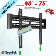ErgoTek E93 Ultra-Thin TV Mount from 40 - 75 Inches - Fixed Wall Mount TV