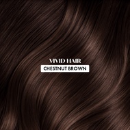 Limited-time special offer【MENS HAIR COLOUR】ViVid Hair 400ml Ginger Hair Dye Colouring Chestnut Bro