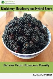 Blackberry, Raspberry and Hybrid Berry: Berries From Rosaceae Family Agrihortico CPL