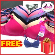 daiso Bra Women Bra Non-Wired Lingerie Bra ABC Cup Baju Dalam Wanita Bra Wanita Bra Nipis Span Nipis Tanpa Dawai /内衣/內