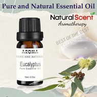 Eucalyptus Pure Essential Oil (10ml) Aromatherapy Oil for Skin Care, Hair Care, Bath,  Humidifier, Diffuser, Relax