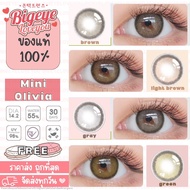 คอนแทคเลนส์ Mini Olivia Brown / Light Brown / Gray / Green / Black / Blue (Kitty Kawaii) ขนาดมินิ 🌷 