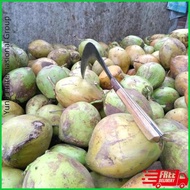 Arit Tembus Arit Baja Arit Rumput Terbaik Dikelasnya