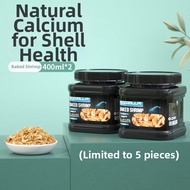 Natural Healthy Turtle Snack Food