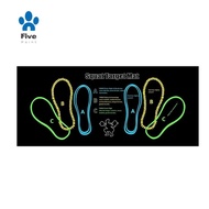 Squat Guide Mat Squat Step Positions Knee Mat Msquat Mat