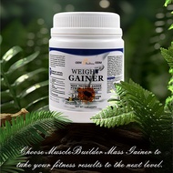 weight gainer high protein gainer power supplement蛋白质粉*3