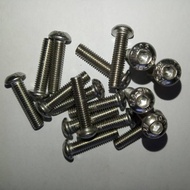 Button L M6 X 25 (25cm)stainless 304