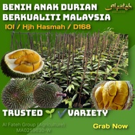 ANAK BENIH DURIAN IOI @ D168 @ HAJAH HASMAH