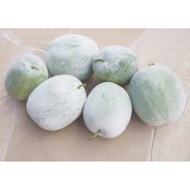 1biji buah kundur sedap buah jus/masak sayur air/sayur lemak