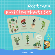 โปสการ์ดต้นไม้ มอนสเตอร่า Plant Postcard โปสการ์ดดอกไม้ โปสการ์ดแต่งห้อง