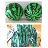 Watermelon Ball Toy || Watermelon RUBBER BALL TOY || Watermelon Inflatable Ball Toy