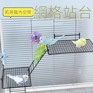 🌸Taoli🌸Bird Platform Parrot Platform Parrot Platform Website Bird Interactive Platform Parrot Rest P