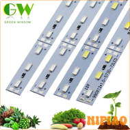 ชิป5730 LED 12Vชิป Phyto Lampe ในร่ม-แอนลาจ Wachsen ชิปสำหรับตกปลา