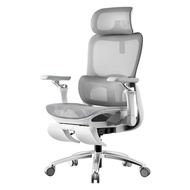 Hbada P2 Ultra  Ergonomic Office Chair