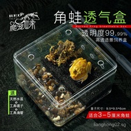 Horned Frog Breeding Box Breeding Tank Landscaping Horned Frog Turtle Axolotl Tank Amphibian Special