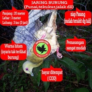 JARING BURUNG PUNAI JARING PUNAI JEBAKAN BURUNG PUNAI PIKAT PUNAI JALA PUNAI JARING JALA BURUNG BESA