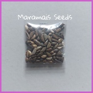 ✩ ◧ ✸ ◙ Maramais Seeds Per Pack