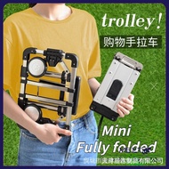 S028 Portable Mini Trolley, Foldable Multi-function Carrying Luggage, Free Straps GJ10882