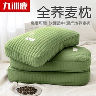 Jiuzhou Deer Buckwheat Pillow Cervical Pillow Adult Student Pillow Comfortable Sleep Pillow Insert Buckwheat Husk Pillow Single