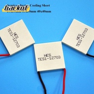 BACKOF Refrigeration Plate, 5 Styles 40x40mm Semiconductor Cooling Sheet, High Quality TES1-12704 TE