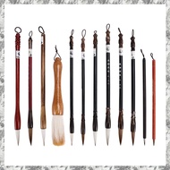 12 PCS Chinese Calligraphy Brush Set - Painting Writing Watercolor Sumi Brushes Set Kanji Japanese D