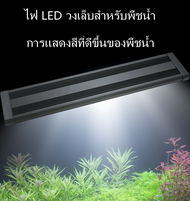 โคมไฟตู้ปลา LED - WB โคมไฟสีฟ้า-ขาว สำหรับตู้ปลา ขนาด 10-24 นิ้ว 60cm  COD