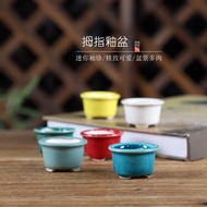 "Thumb Small round Basin" Flower Warmer Boutique Ceramic Miniature Bonsai Pot Succulent Control Nourishing Pocket Bonsai