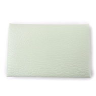 全新狀態 ☆ 愛馬仕 Calvi Chevre Vert Fizz 薄荷卡套 B 印章 法國製造 女士