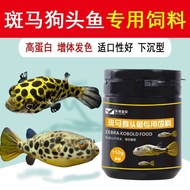 Zebra dog head fish feed special fish food young fish fry do Zebra dog head Fish feed special Fish f
