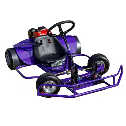 2025 Factory Hot Sales Karting 3000W Electric High Performance Go Karts for Adults Racing Karting Ca