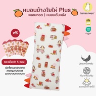 Baa Sheepz Baby Pillow Plus Bamboo Fiber Cloth Special Soft Premium Fabric Size S-XL Headrest CNY26 