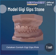 Model Gigi Gips / Model Study Gipsum Praktikum - Gips Pink