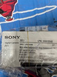 Sony ZV-1 vlog camera