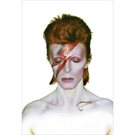 David Bowie Poster Condo Decor Room Decoration Picture In The Wall Of A Gift