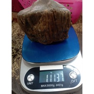 wood stone /kayu jadi batu /fossil nibong kayu nibung jadi batu/fossil