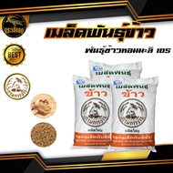 เมล็ดพันธุ์ข้าวปลูก พันธุ์ข้าวหอมมะลิ ตรากรมการข้าว 105 ข้าวปลูก พันธุ์ข้าว บรรจุ 6กก. 19 กก. 25กก. 