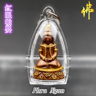 红眼帕婴  Phra Ngan （ LP Nien ）