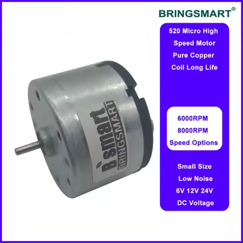 Bringsmart RA-520 DC Motor 6V 8000rpm High Speed Motor 6000rpm 24V 12V Mini Motor Customized Medical