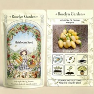 Heirloom Seed Biji Benih White Biquinho Pepper 白小鸟辣椒种子