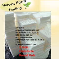 Hydroponic Set Sponge rockwool Hidroponik sponge Span pot system pipe Germination seedling starter k