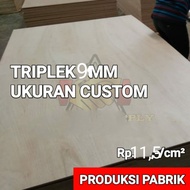 triplek custom 9mm