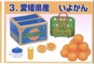 Rement RE-MENT食玩: 產地直送第一代 [ ふるさと産地直送便 ] - NO.3 愛媛県産 いよかん (伊予柑橘)