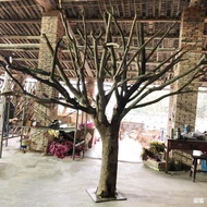 Dead Tree Shaped Trunk Natural Branches Decorative Tree Rods Trunk Branches Coffee Tree Wishing Tree