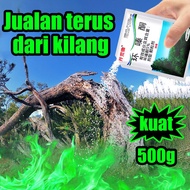A century-old tree dies in 1day weed killer racun rumput rumput mati 环嗪酮 akar racun rumput paling be